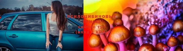 кокс Алексин