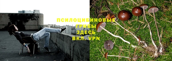 стафф Алексеевка