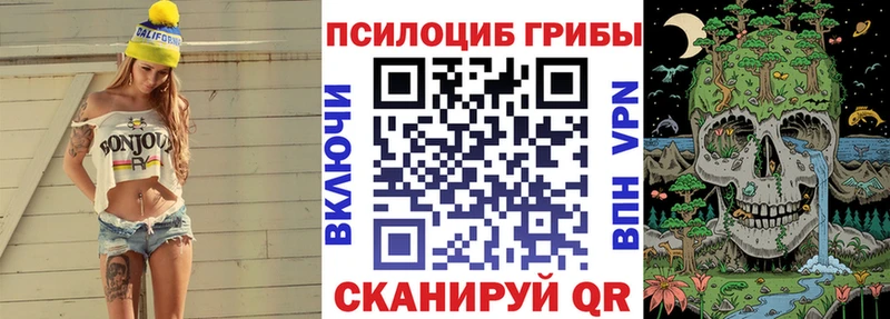 даркнет состав  Муром  Псилоцибиновые грибы мицелий 